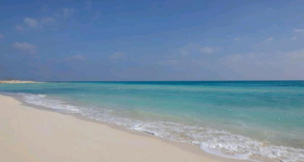 Renzo -   شاليه للإيجار لازوردي شاليه ٣ غرف