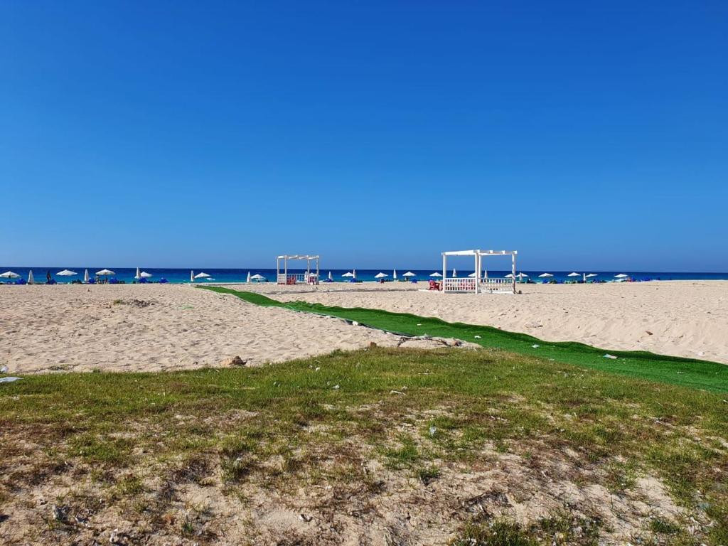 Renzo -   Property 519