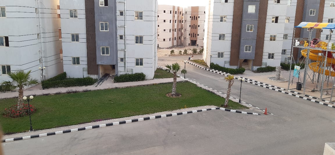 Renzo -   Property 524