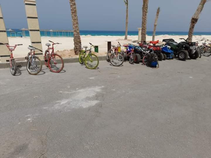 Renzo -   Property 524