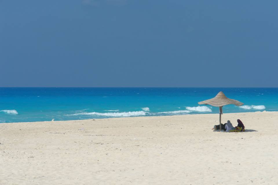 Renzo -   Property 551