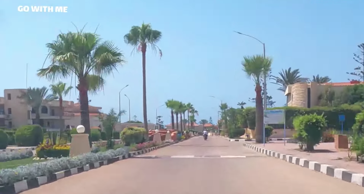 Renzo -   Property 556