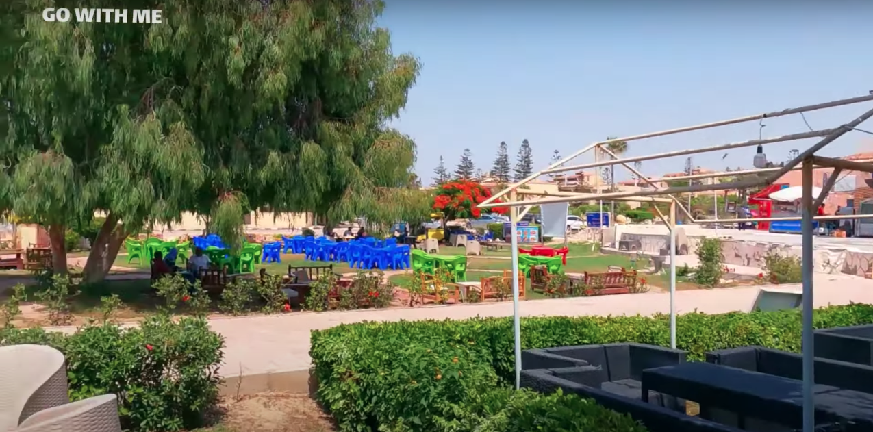 Renzo -   Property 556