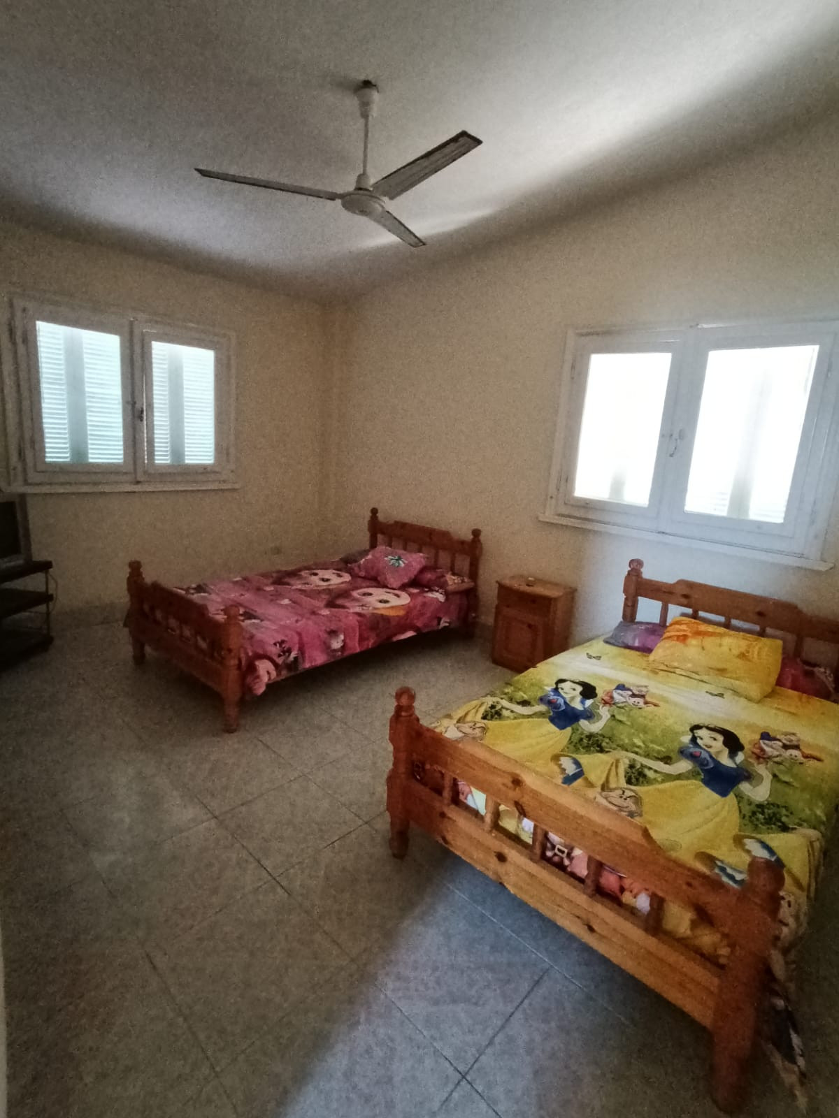 Renzo -   Property 559