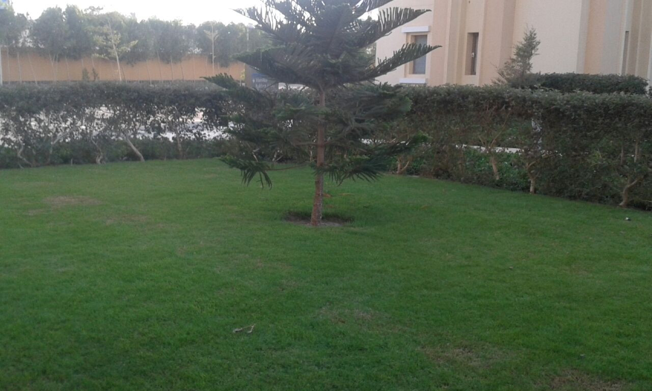 Renzo -   Property 560