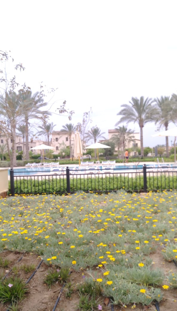 Renzo -   Property 560