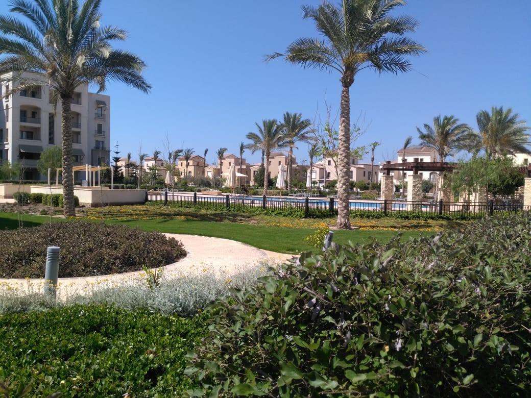 Renzo -   Property 560