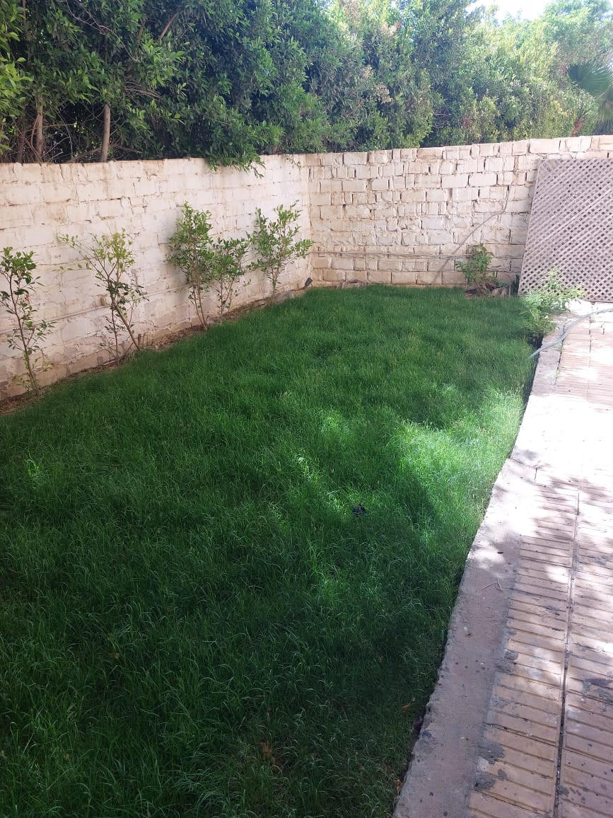 Renzo -   Property 605