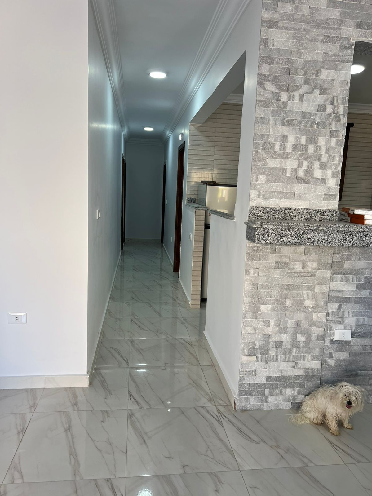 Renzo -   Property 619