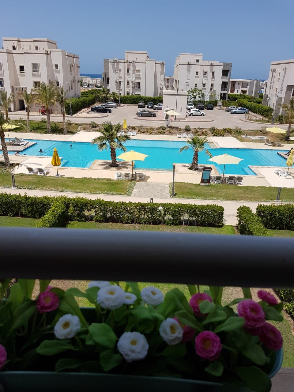 Renzo -   Property 681