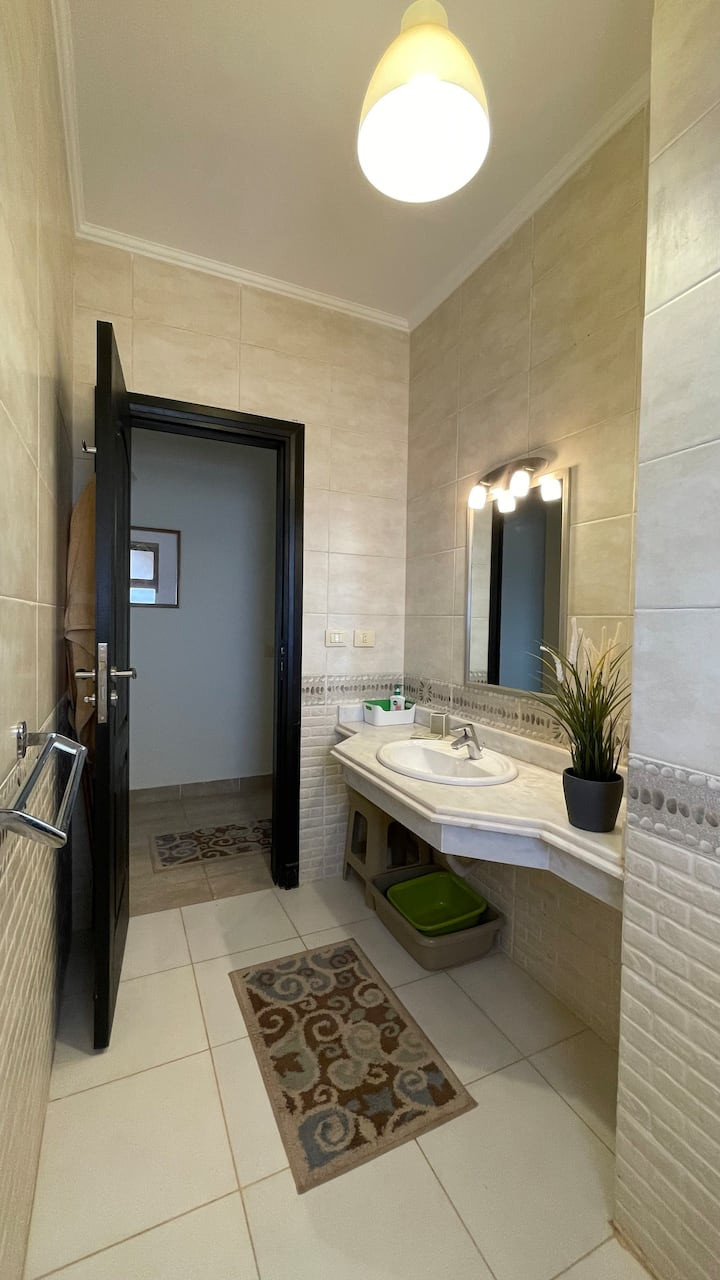  - رنزو Property 750