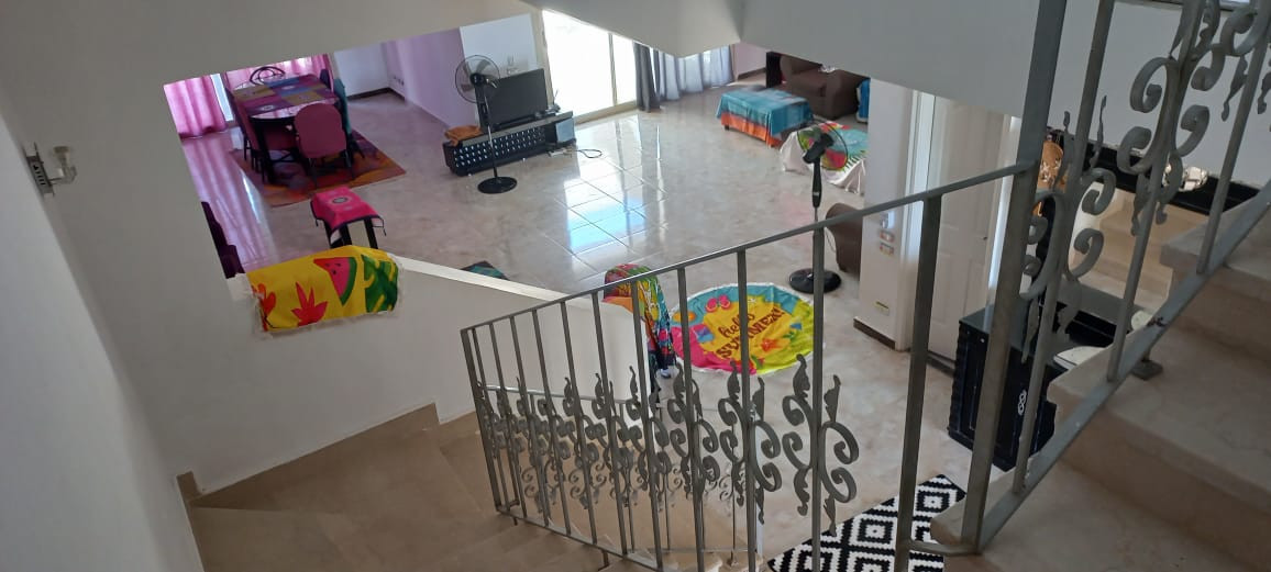 Renzo -   Property 740