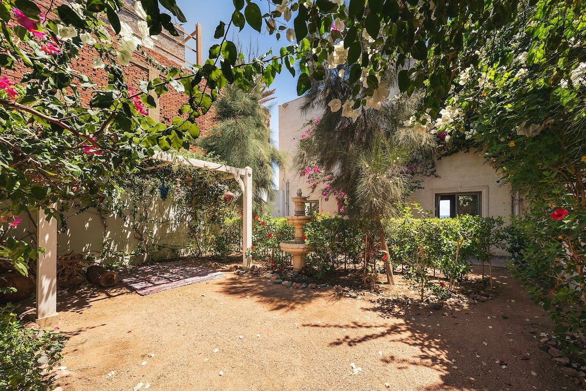 Renzo -   Property 754