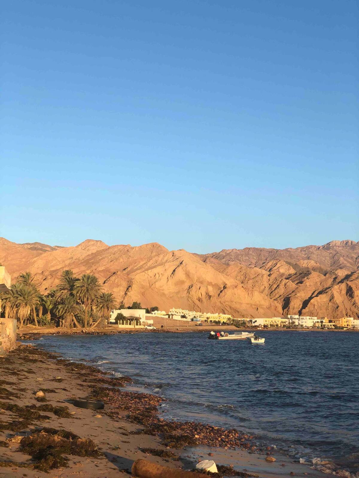 Renzo -   Property 755