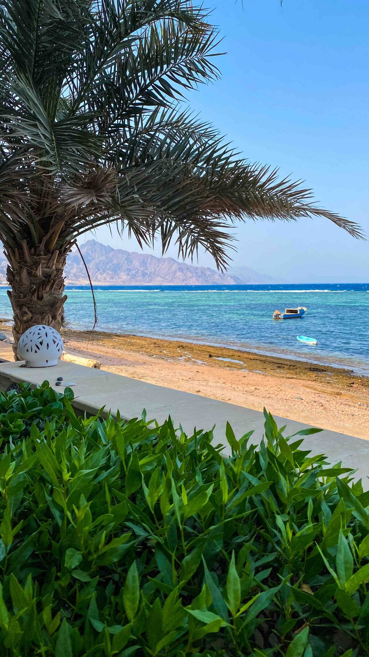 Renzo -   Property 755