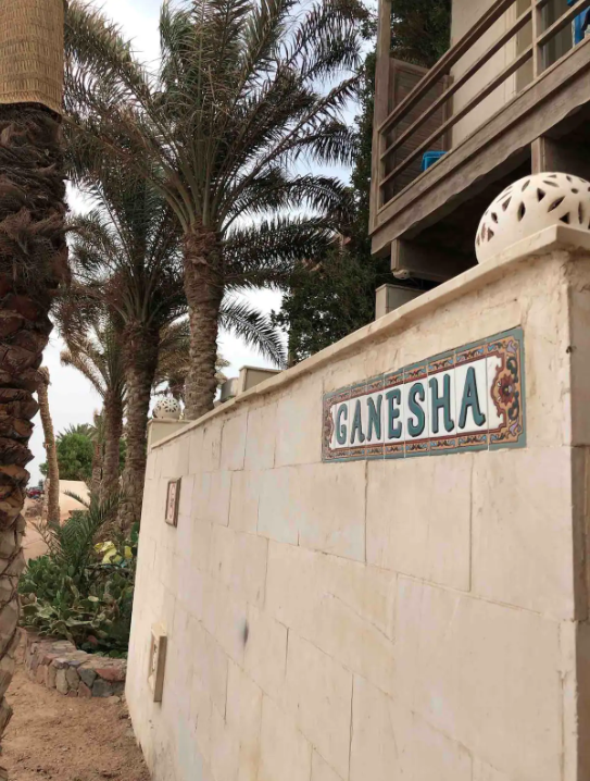 Renzo -   Property 755