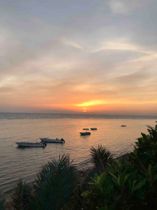 Renzo -   Property 755