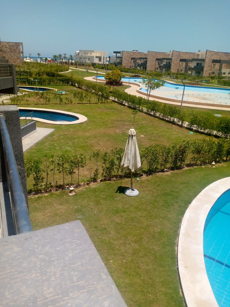 Renzo -   Property 777