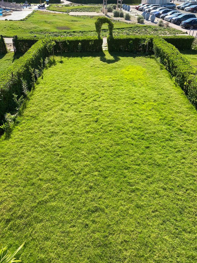  - رنزو Property 784