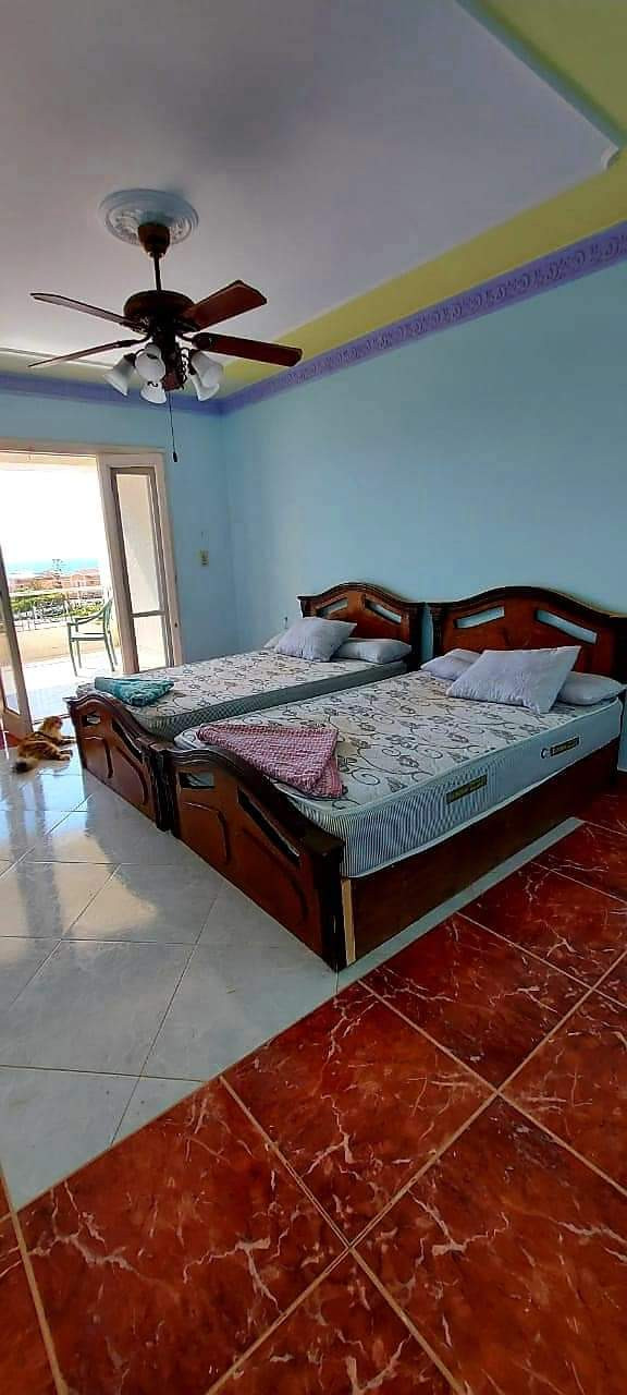 Renzo -   Property 785