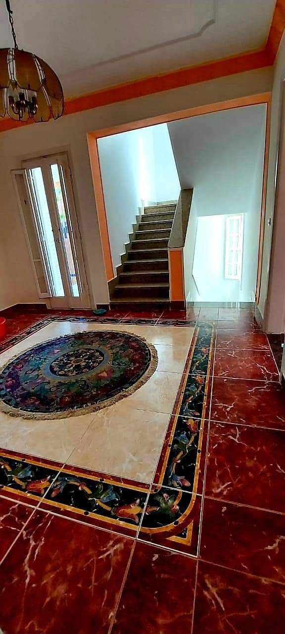 Renzo -   Property 785