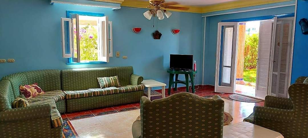 Renzo -   Property 785