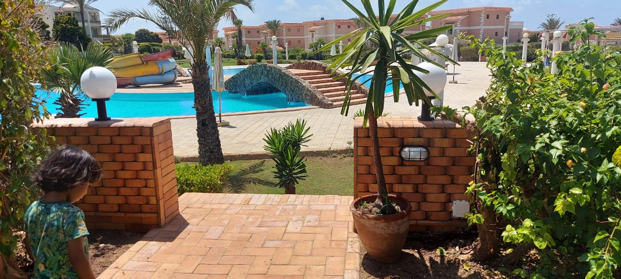 Renzo -   Property 785