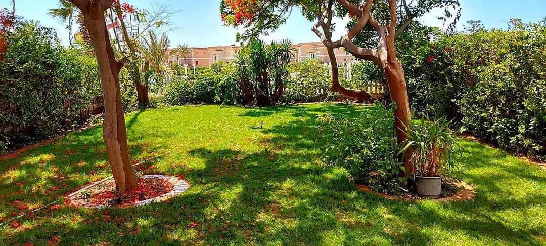 Renzo -   Property 785