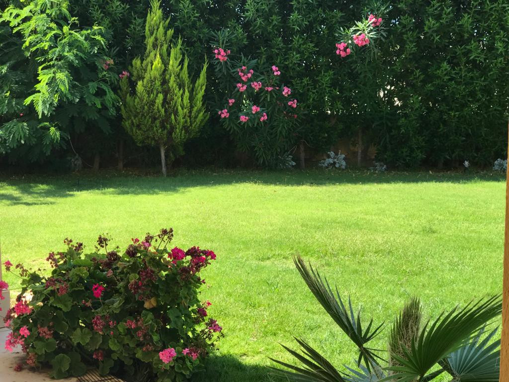 Renzo -   Property 260