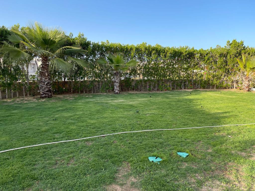 Renzo -   Property 260