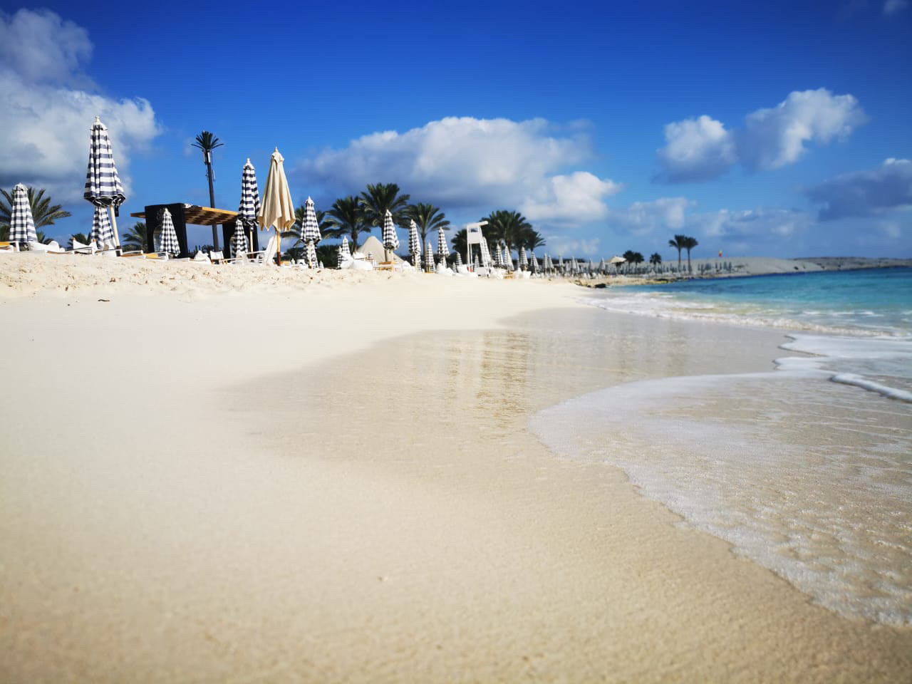 Renzo -   Property 860