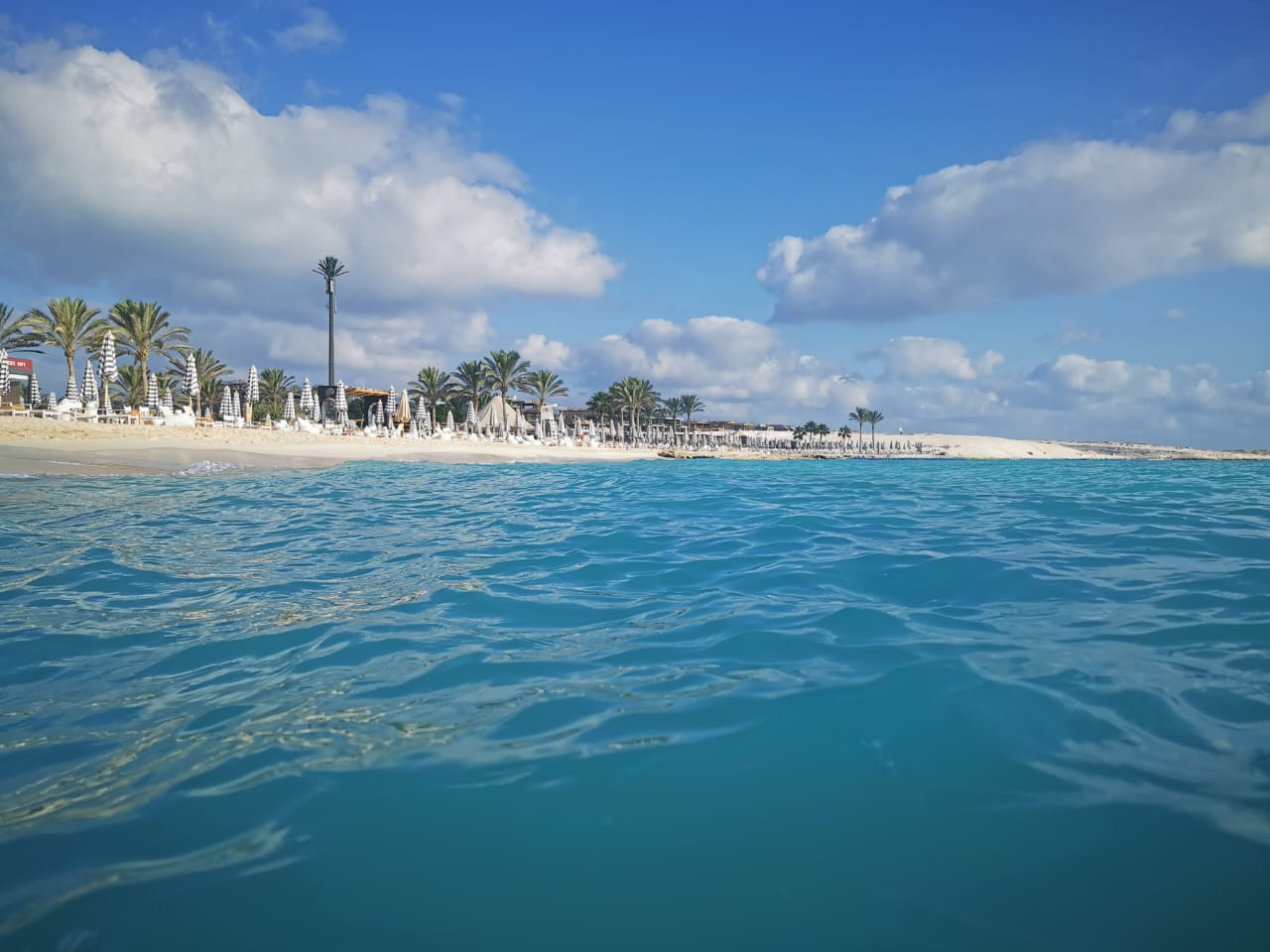 Renzo -   Property 860