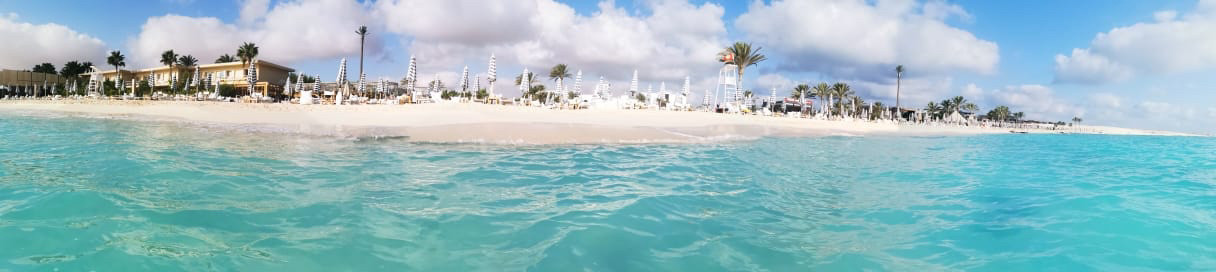 Renzo -   Property 860