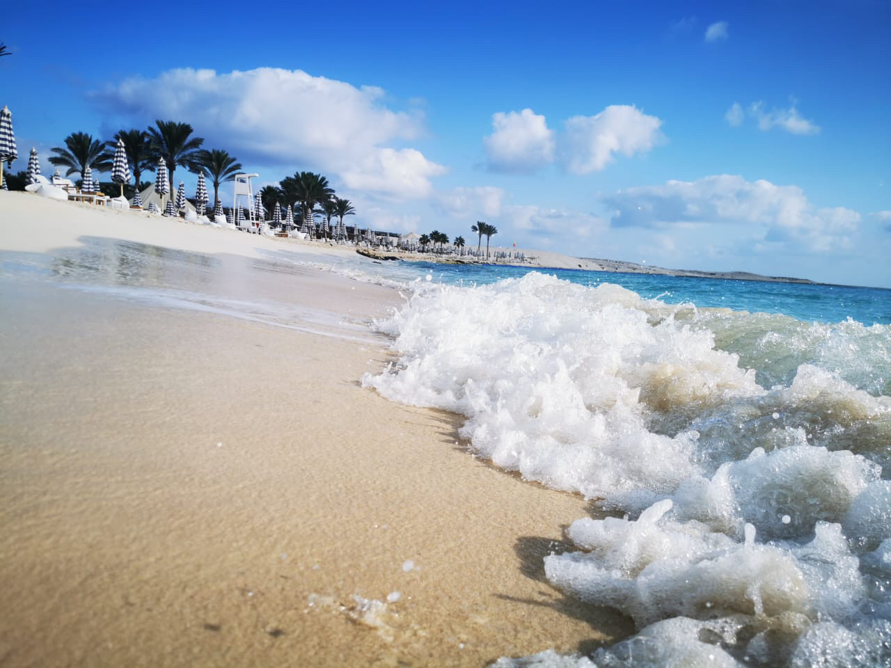 Renzo -   Property 860