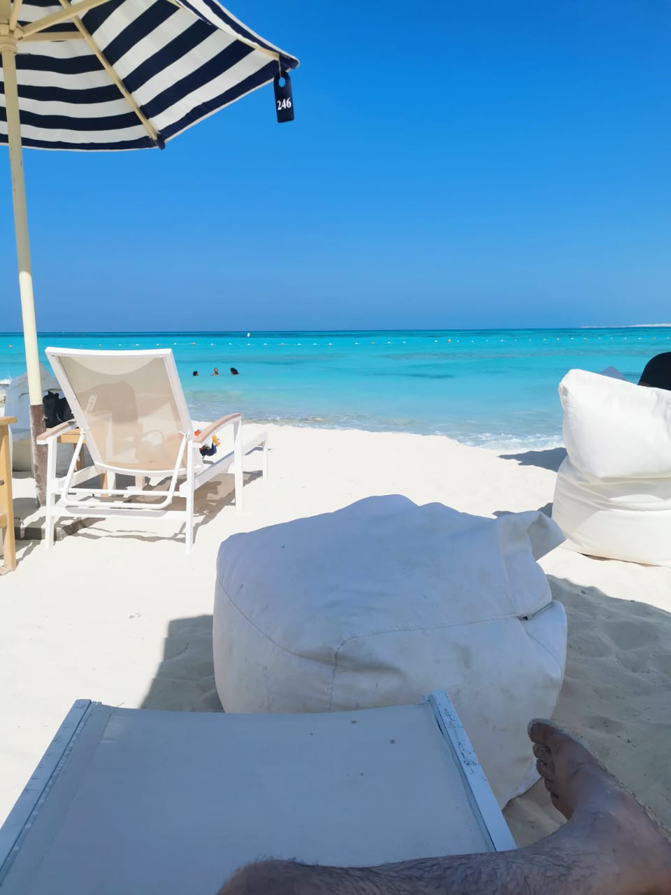 Renzo -   Property 860