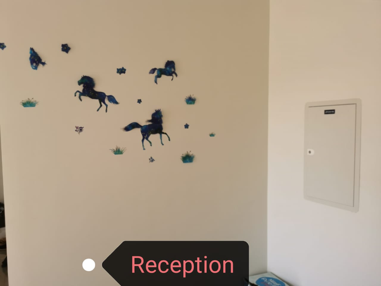 Renzo -   Property 860