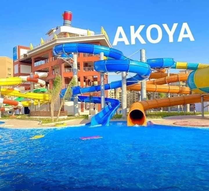 Renzo -   Property 924