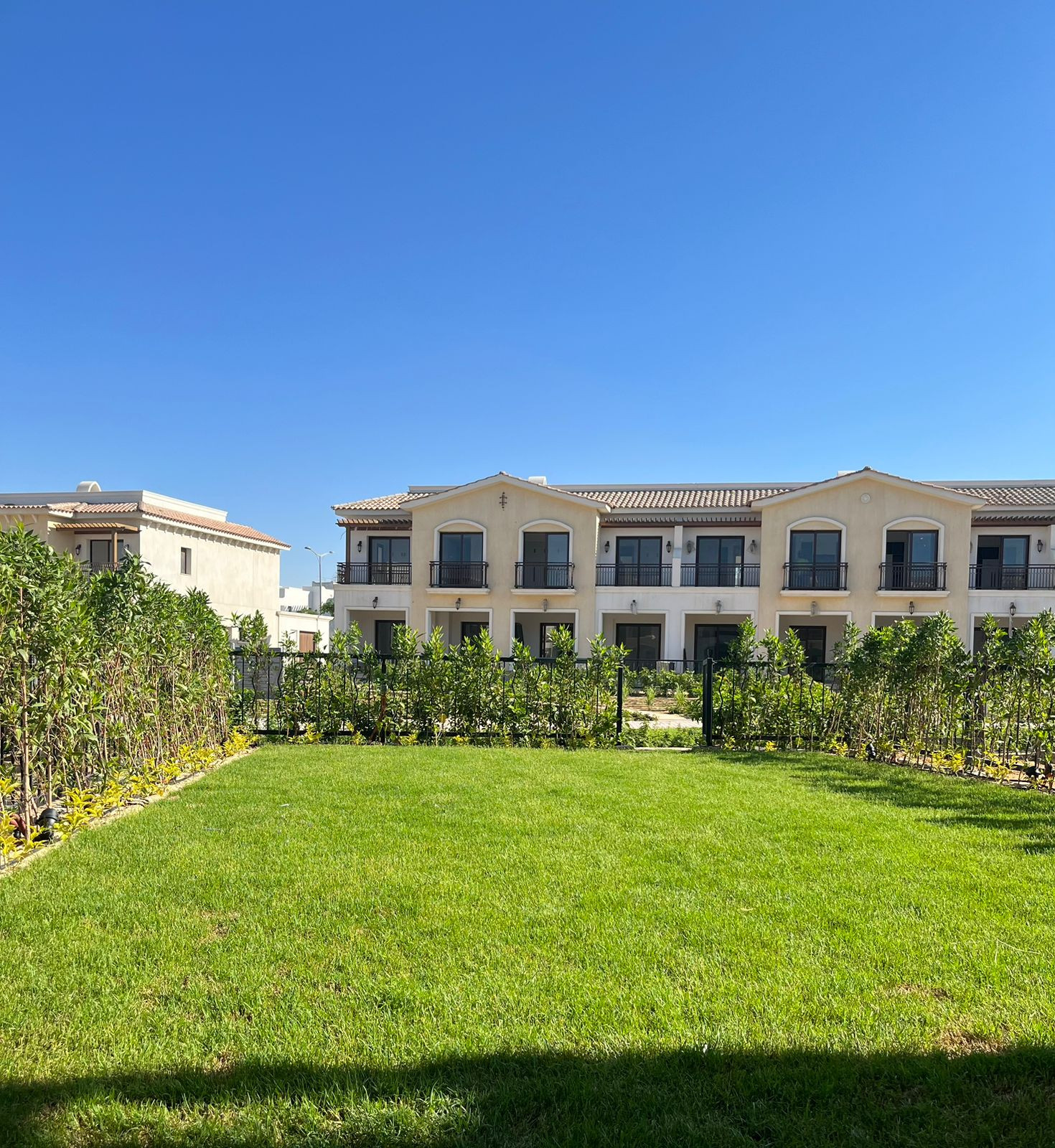 Renzo -   Property 810