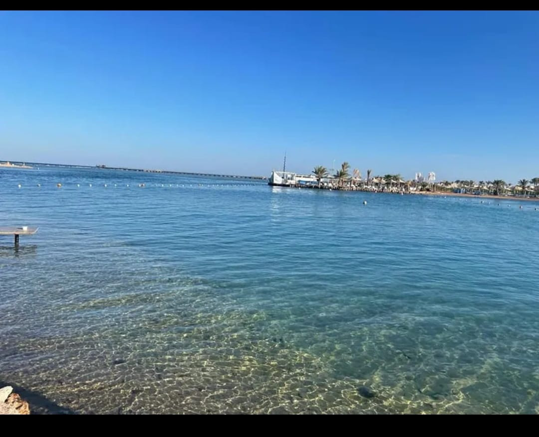 Renzo -   Property 999