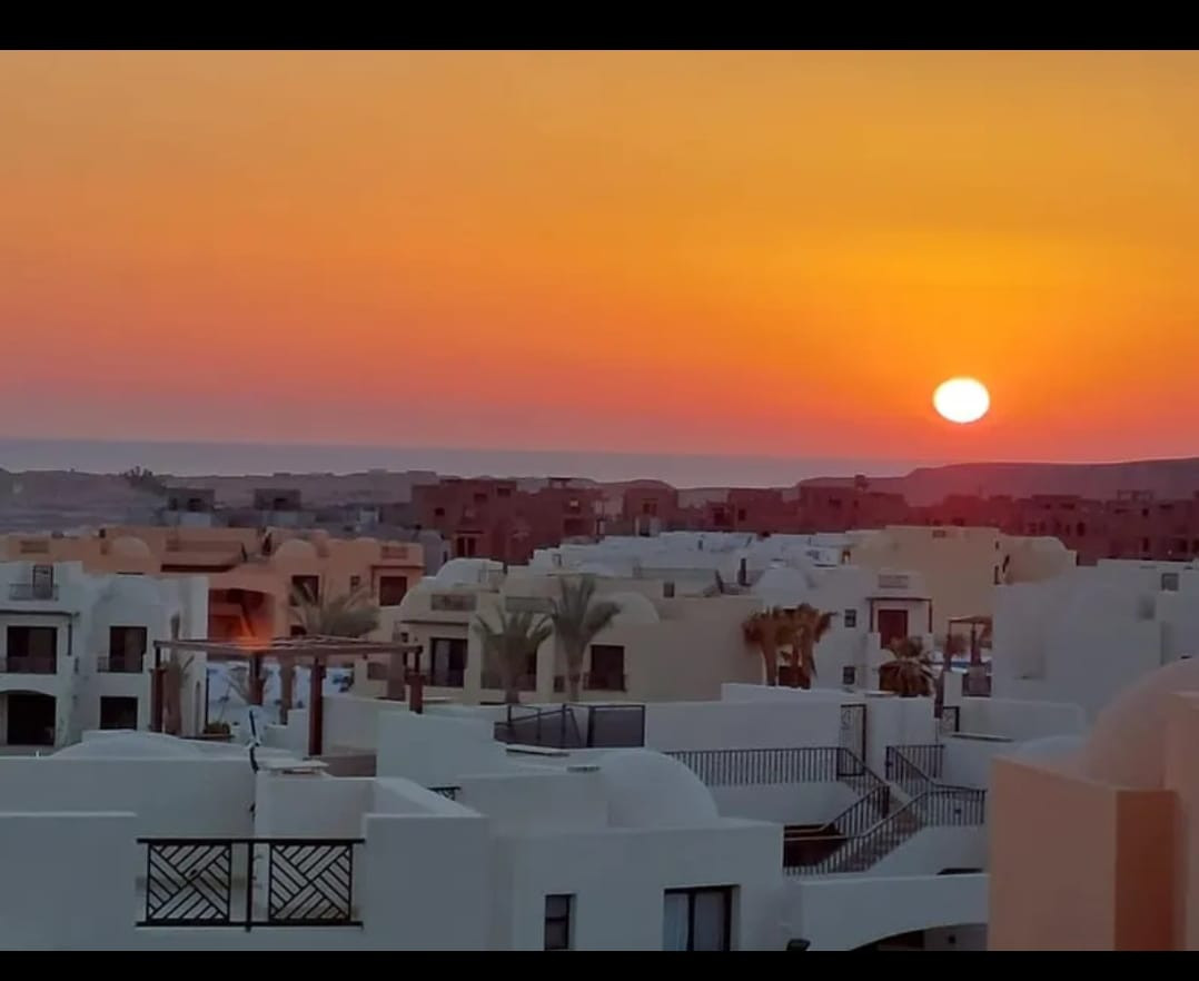 Renzo -   Property 999