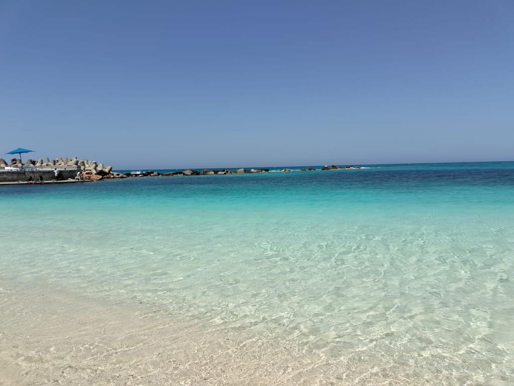 Renzo -   Property 988