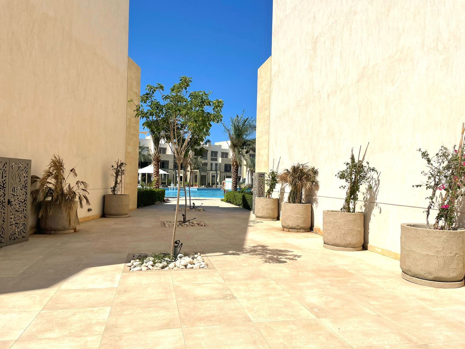 Renzo -   Property 1080