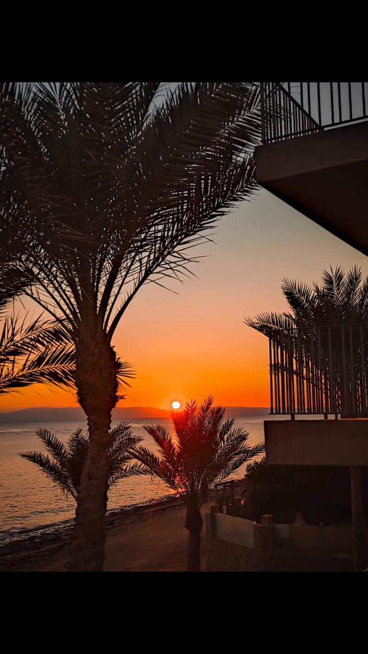 Renzo -   Property 1103