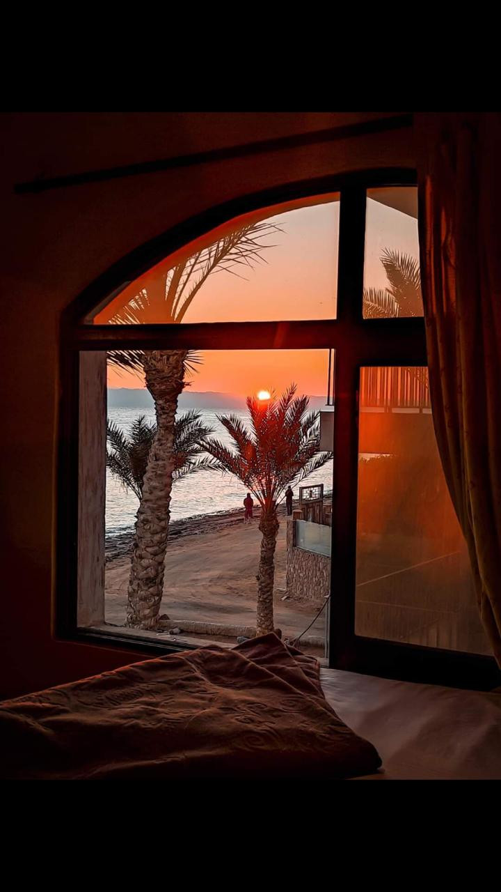 Renzo -   Property 1103