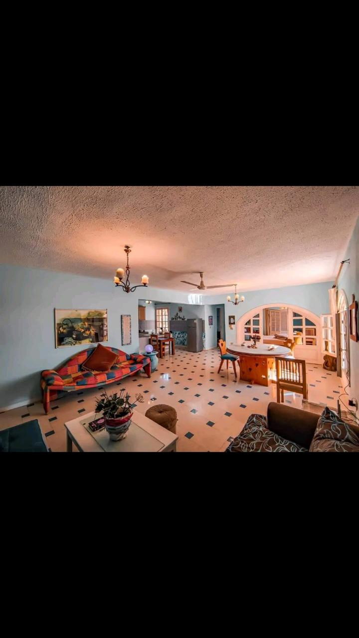 Renzo -   Property 1104