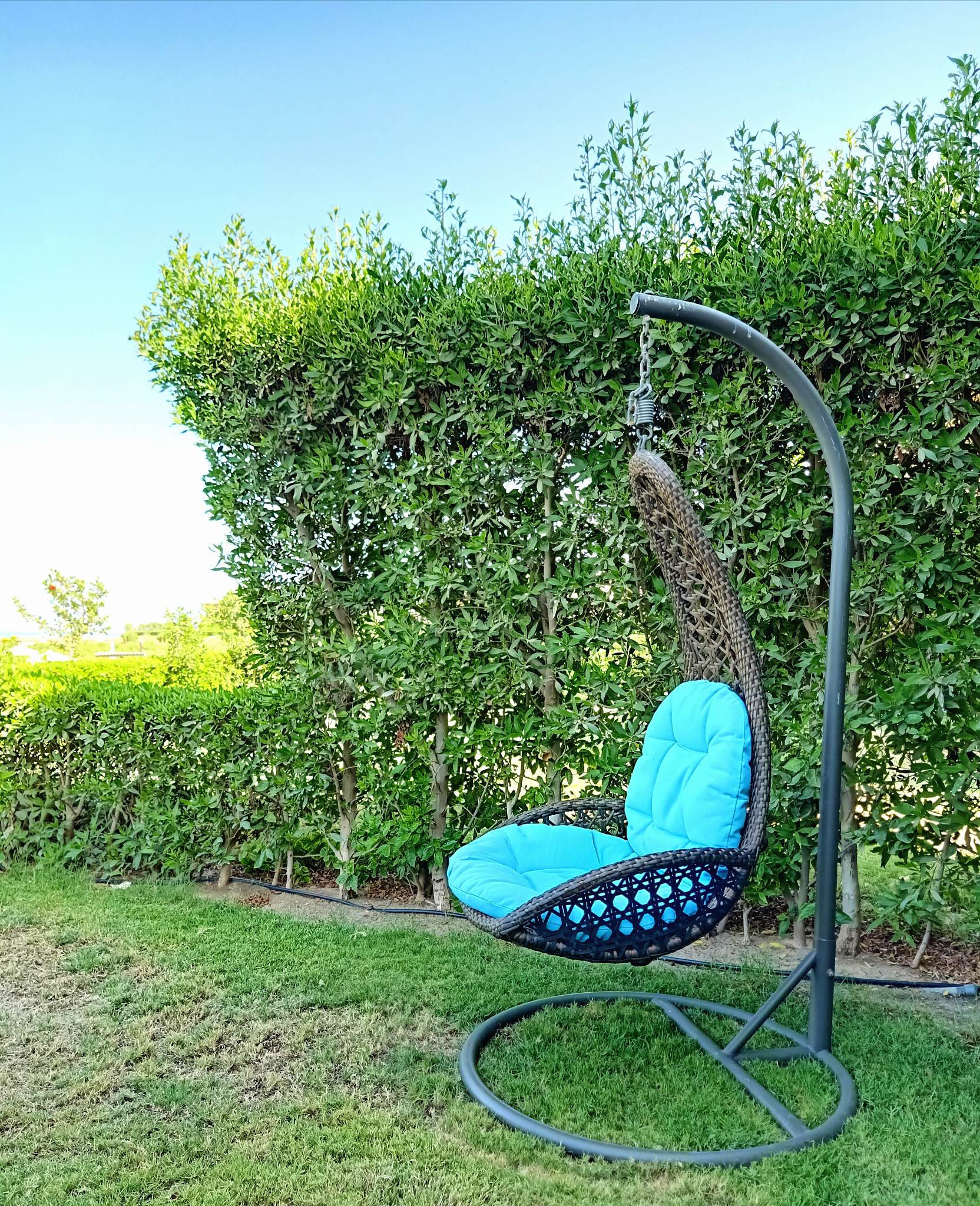 Renzo -   Property 1171