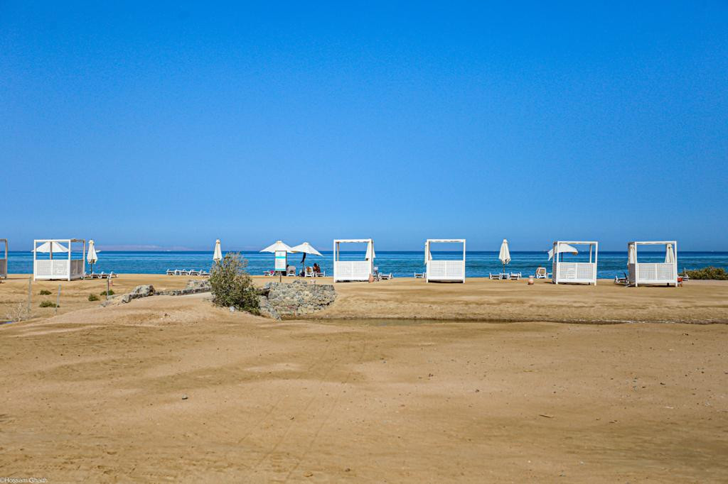 Renzo -   Property 1181