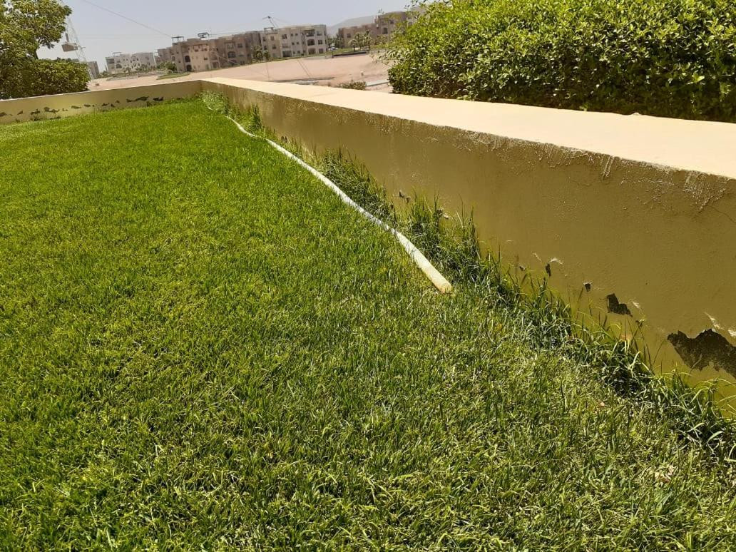 Renzo -   Property 1198