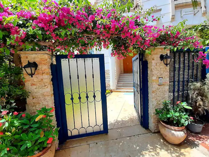 Renzo -   Property 1199