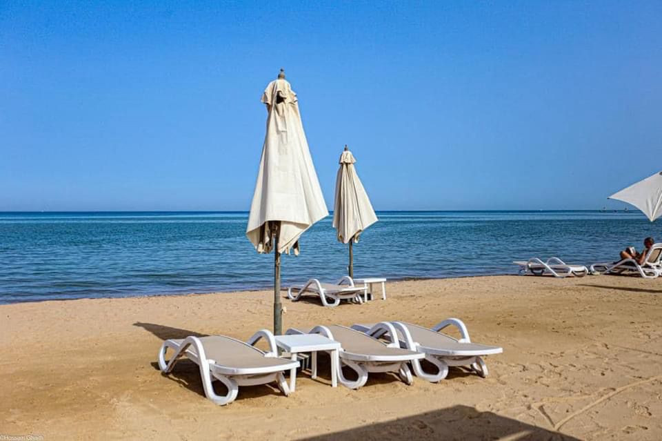 Renzo -   Property 1224